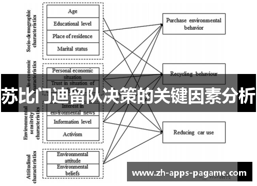 苏比门迪留队决策的关键因素分析