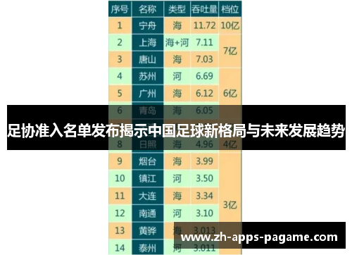 足协准入名单发布揭示中国足球新格局与未来发展趋势