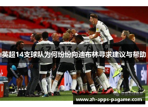英超14支球队为何纷纷向迪布林寻求建议与帮助