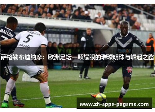 萨格勒布迪纳摩:欧洲足坛一颗耀眼的璀璨明珠与崛起之路 萨格勒布迪纳摩:欧洲足坛一颗耀眼的璀璨明珠与崛起之路
